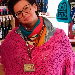 Idegenvezetőt keres Kőszegre?